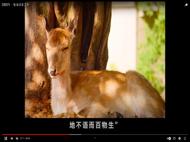 【勵志影片】當人類學會贈與，敵人也會回饋尊重